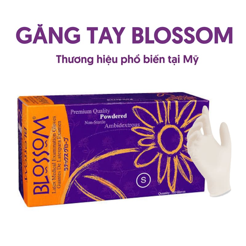 Găng Tay Blossom - Thùng 10 hộp