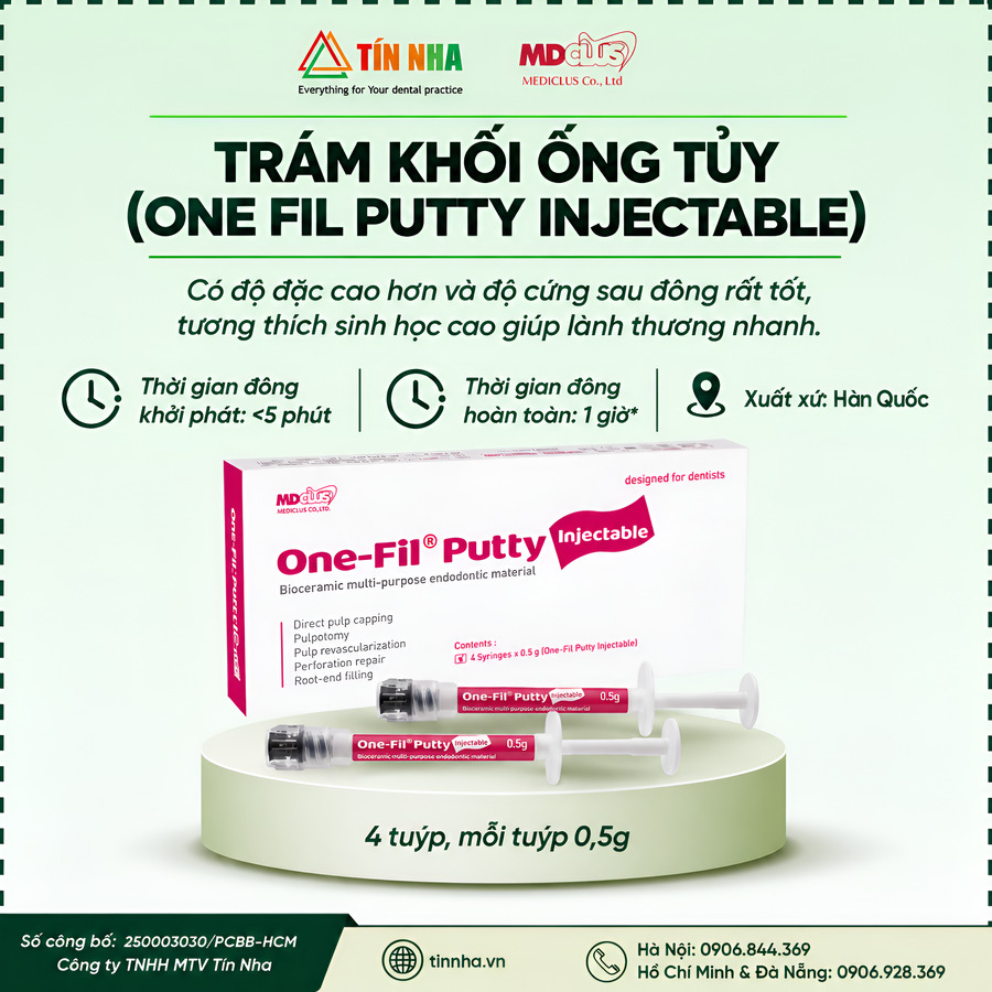 TRÁM KHỐI ỐNG TỦY ONE FIL PUTTY INJECTABLE